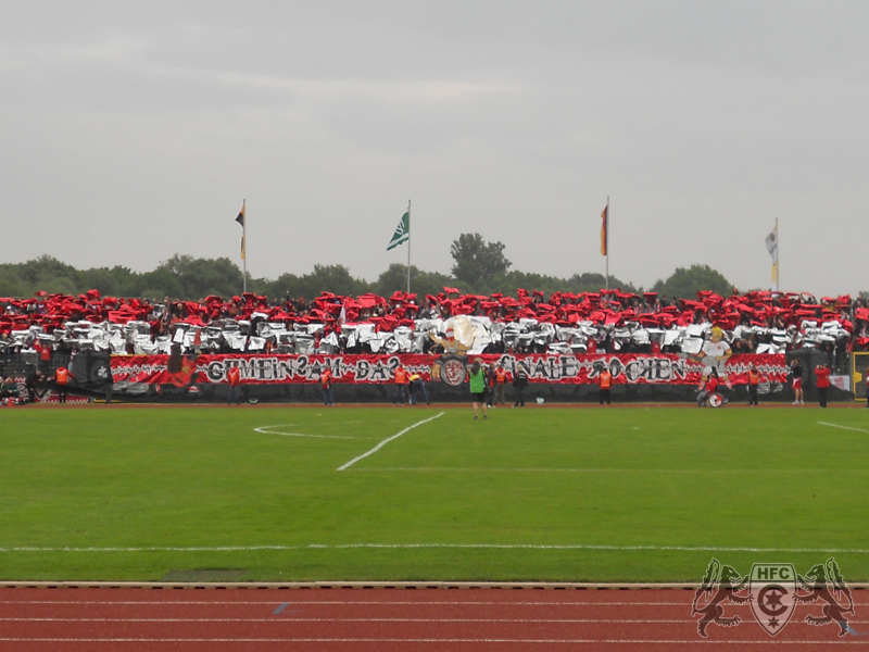 FSA-Pokal, Finale: FC Grün-Weiß Piesteritz vs. Hallescher FC