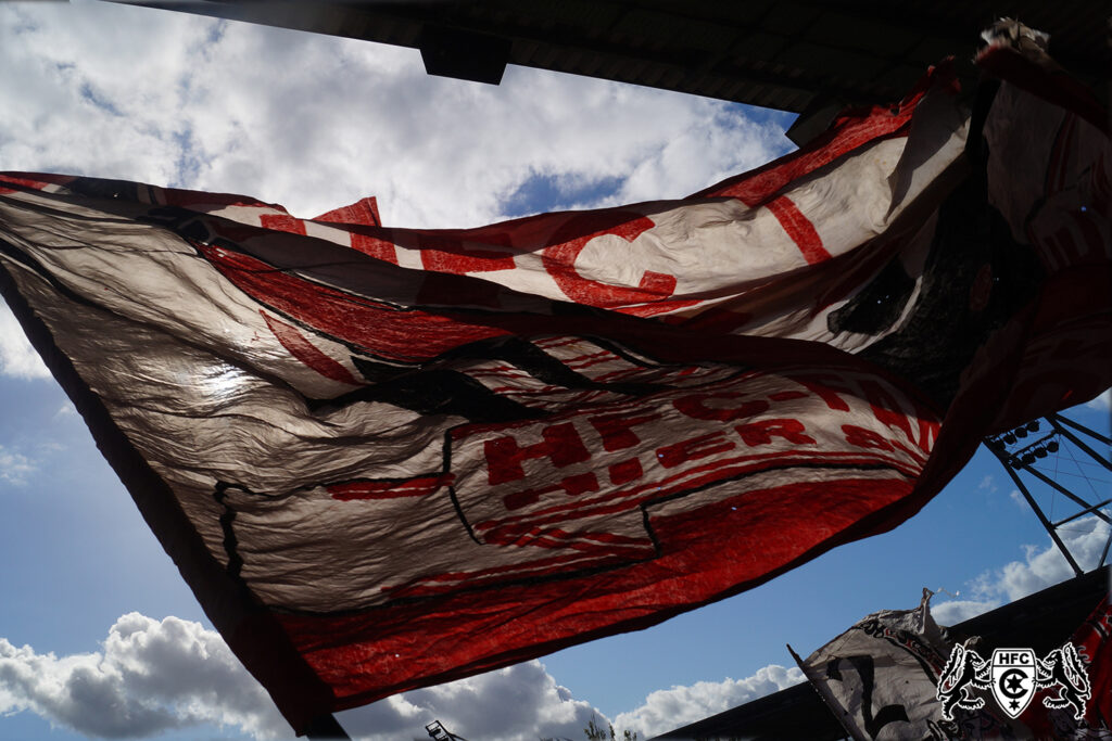 12. Spieltag: Hallescher FC vs. 1. FC Saarbrücken