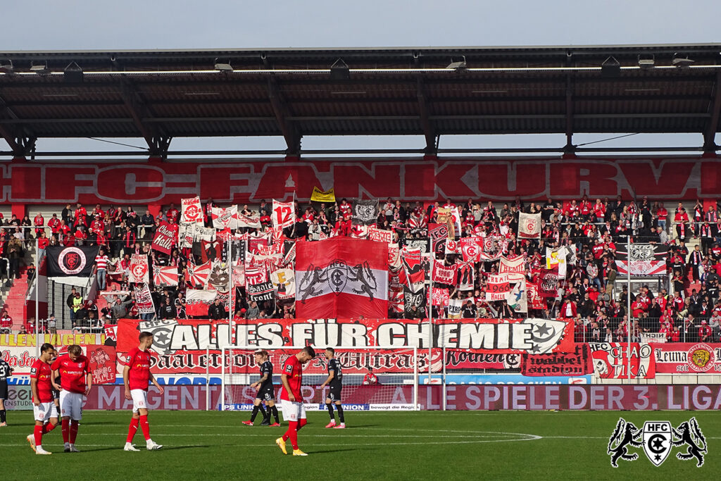13. Spieltag: Hallescher FC vs. MSV Duisburg